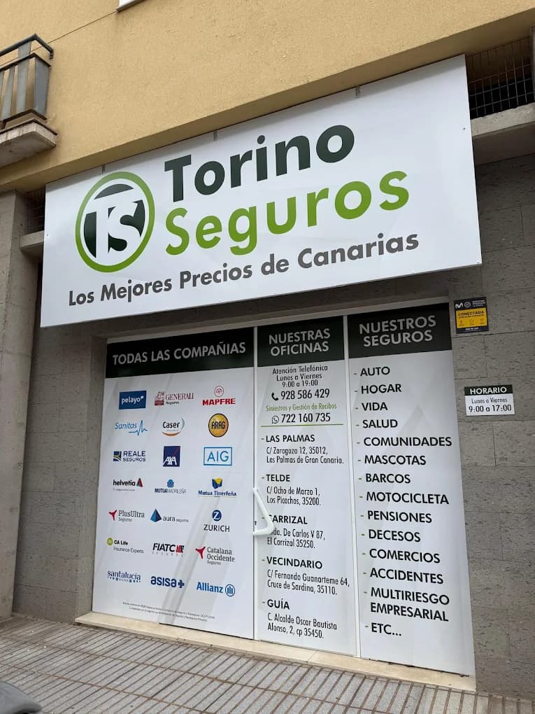 Profesional trabajando en oficina